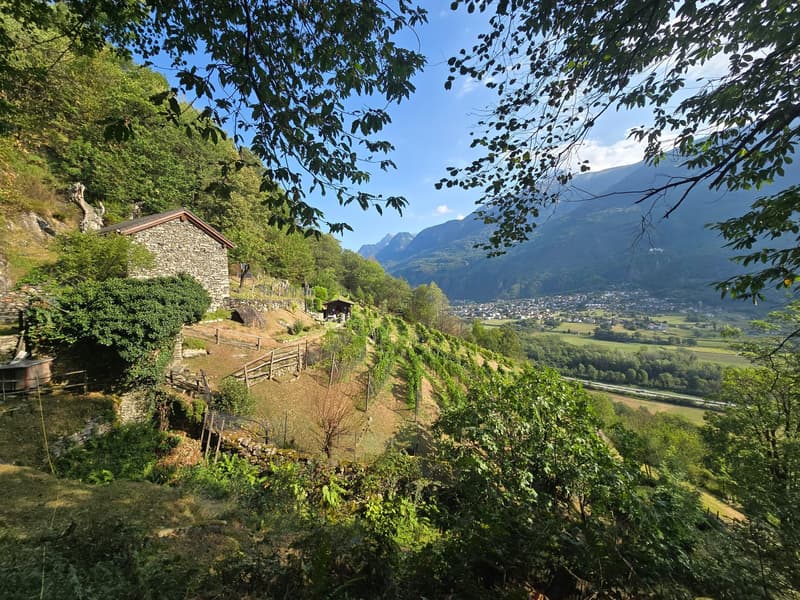 Rustico und Grotto mit grossem Grundstück und schöner Aussicht (20)