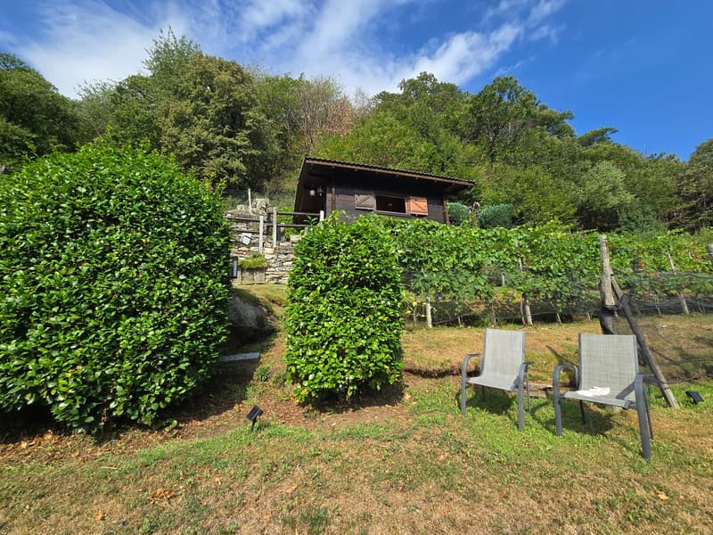 Rustico und Grotto mit grossem Grundstück und schöner Aussicht (13)