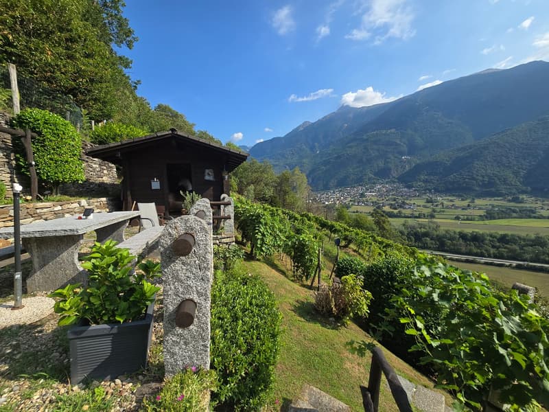 Rustico und Grotto mit grossem Grundstück und schöner Aussicht (12)