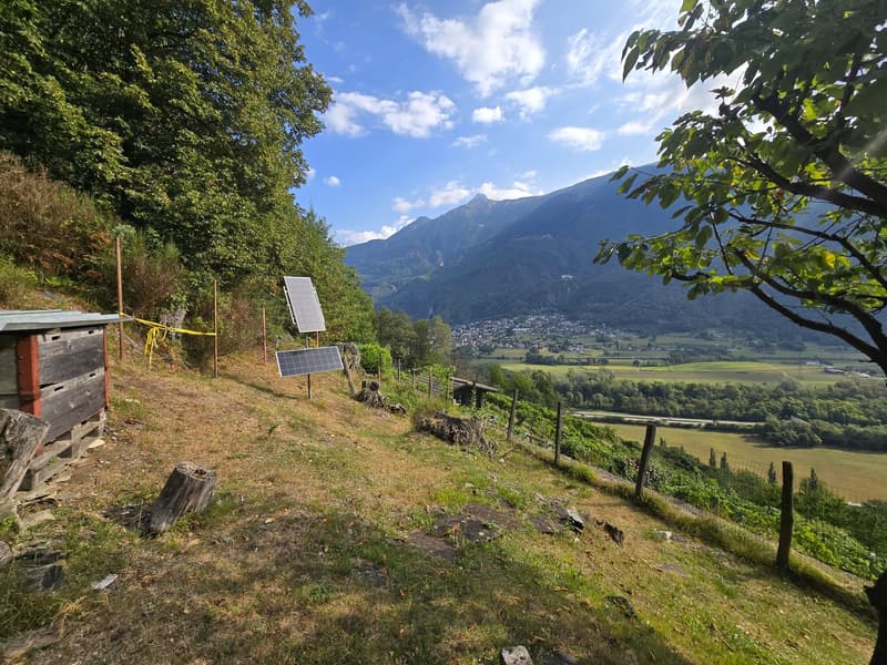 Rustico und Grotto mit grossem Grundstück und schöner Aussicht (23)