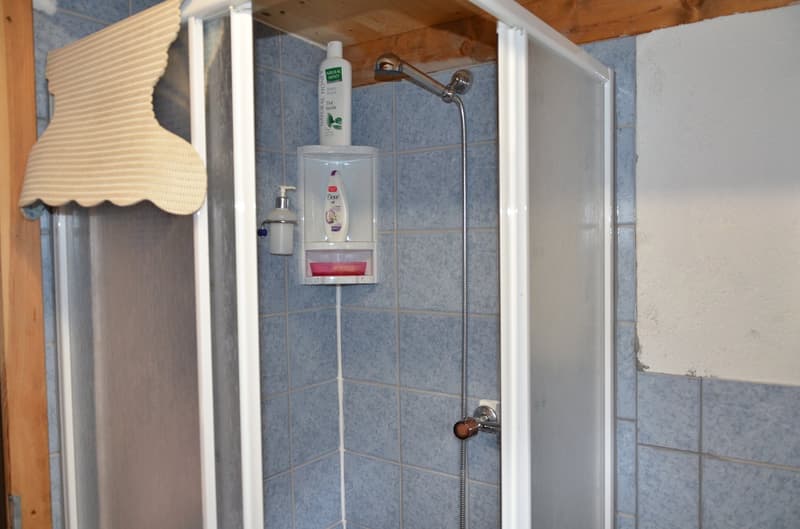 2 Bergbauernhöfe mit grossem Land an einem sehr sonnigen Ort (22)