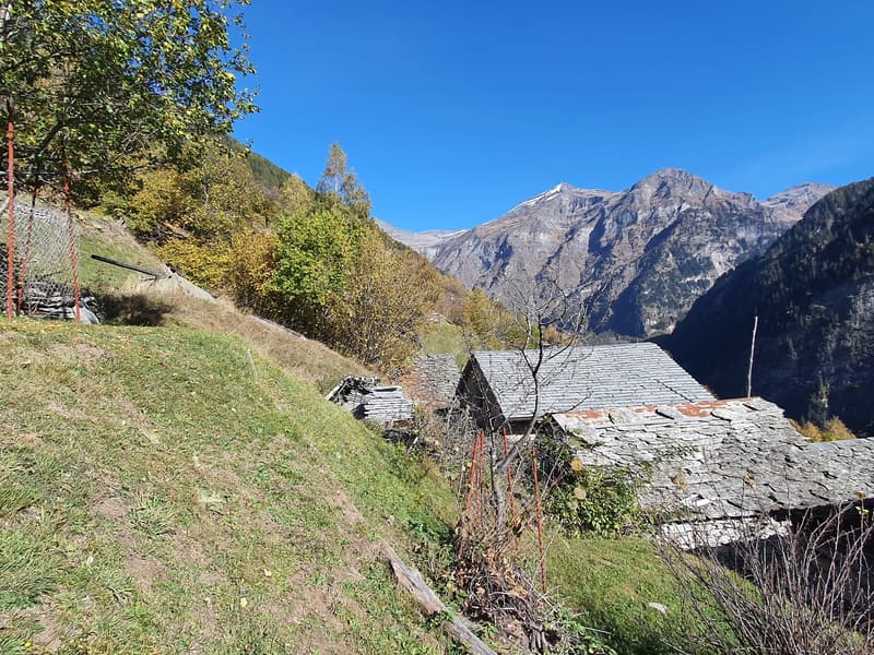 2 Bergbauernhöfe mit grossem Land an einem sehr sonnigen Ort (34)