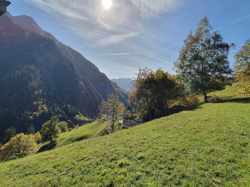 2 Bergbauernhöfe mit grossem Land an einem sehr sonnigen Ort (2)