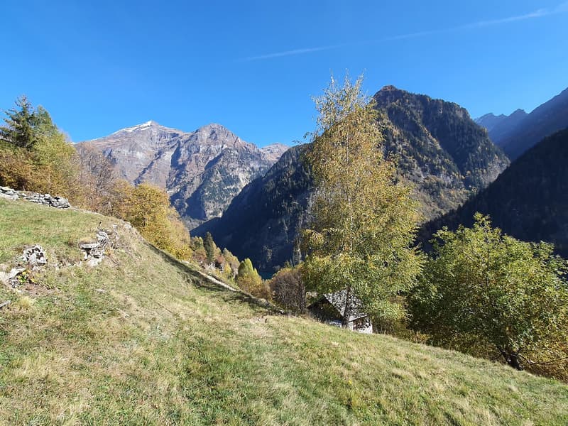 2 Bergbauernhöfe mit grossem Land an einem sehr sonnigen Ort (3)