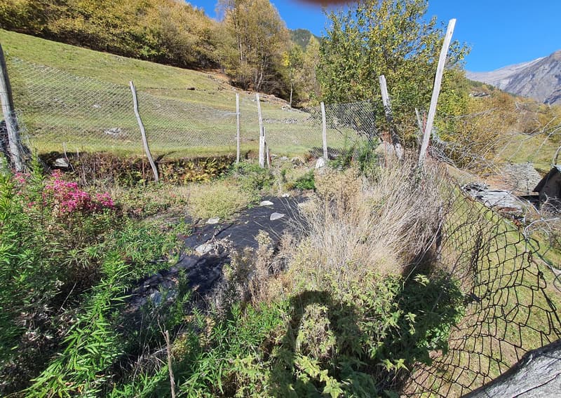 2 Bergbauernhöfe mit grossem Land an einem sehr sonnigen Ort (35)
