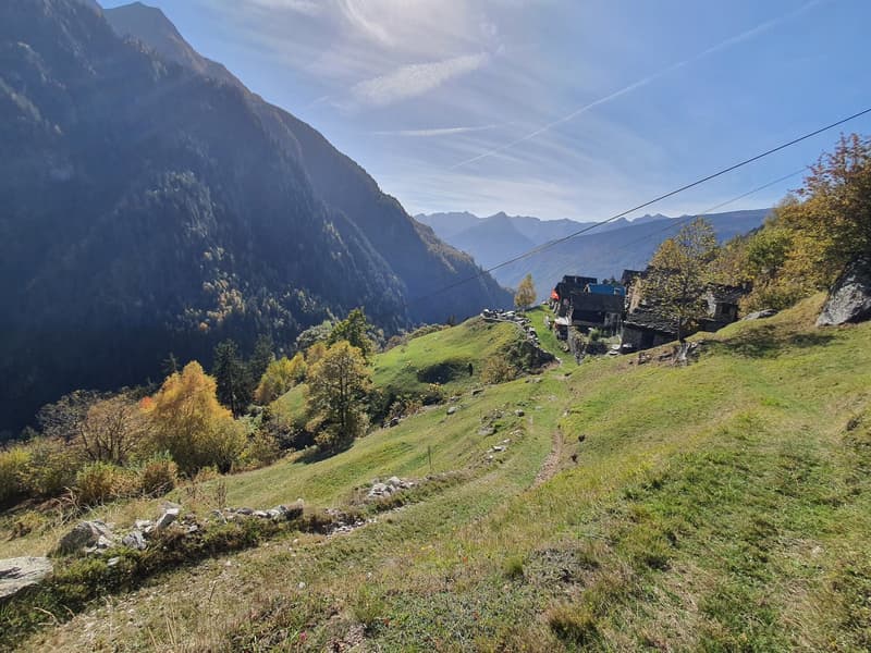 2 Bergbauernhöfe mit grossem Land an einem sehr sonnigen Ort (32)