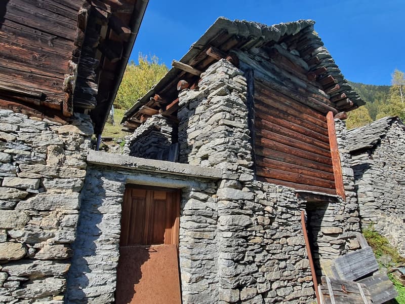 2 Bergbauernhöfe mit grossem Land an einem sehr sonnigen Ort (8)