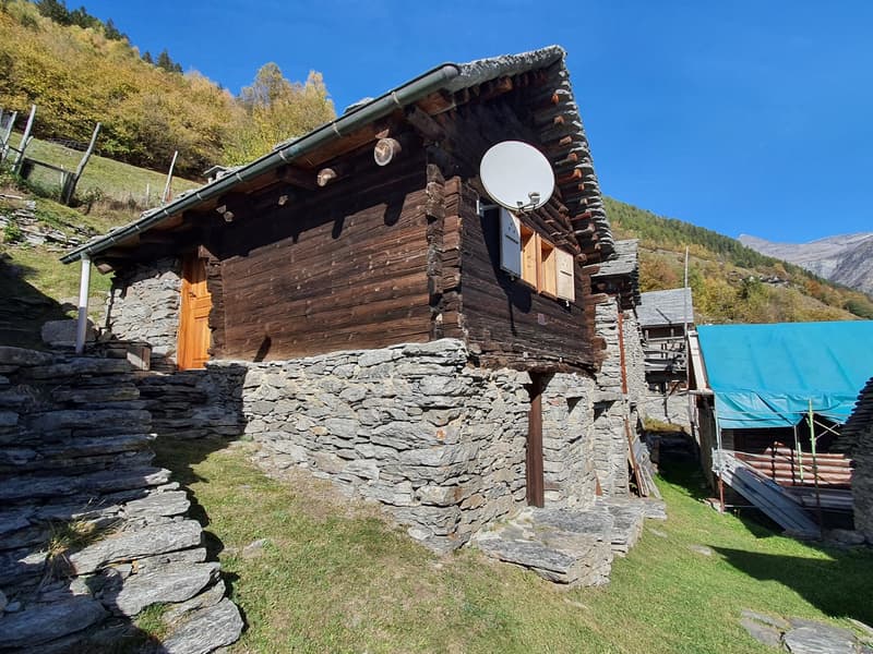 2 Bergbauernhöfe mit grossem Land an einem sehr sonnigen Ort (7)