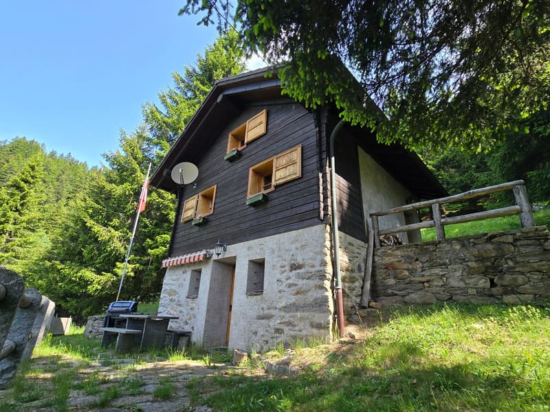 Schönes Chalet inmitten der Natur mit Grundstück und herrlicher Aussicht (1)
