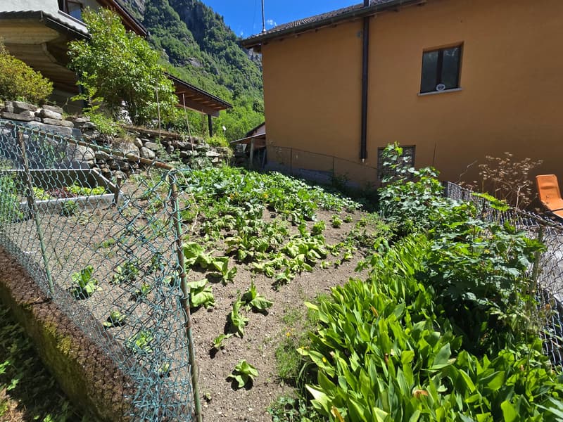 Haus mit Garten, Garage und herrlicher Aussicht  auch Zweitwohnsitzt (27)