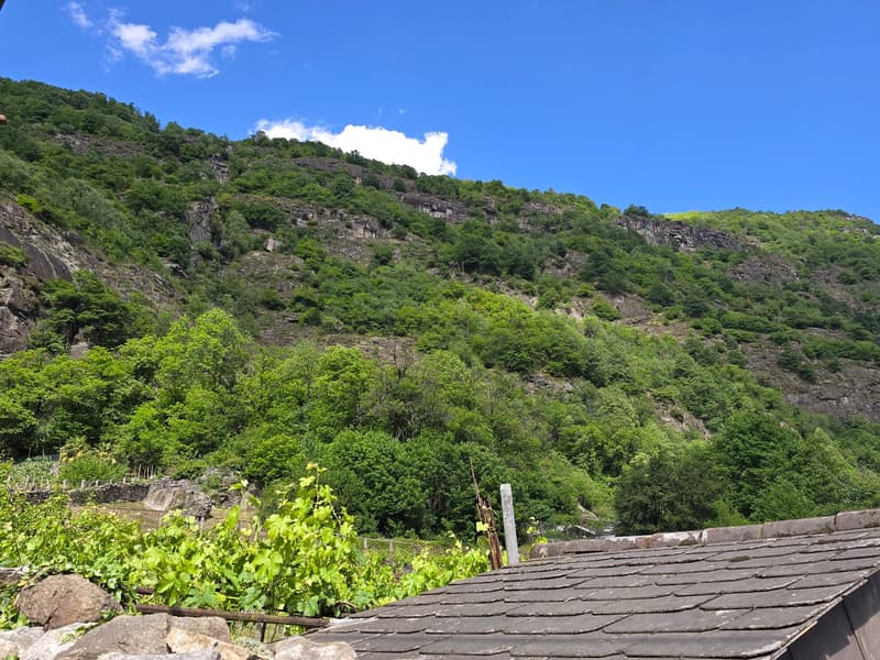 Schönes Haus im Kern mit Garten, Terrasse & schöner Aussicht (30)