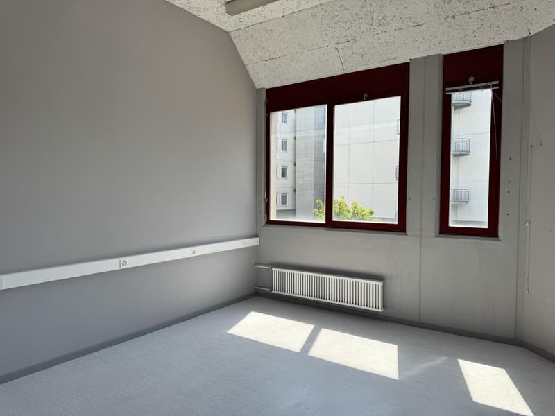 Atelier 365 m2 (3)