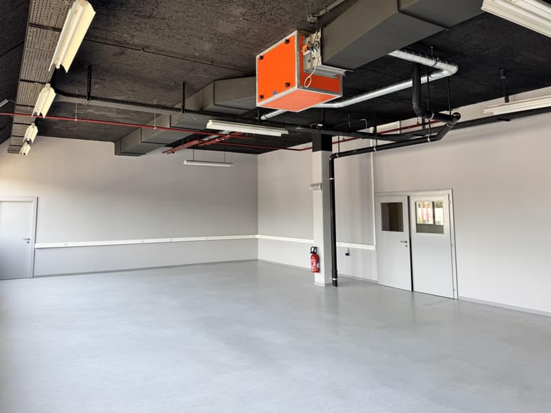 Atelier 365 m2 (2)