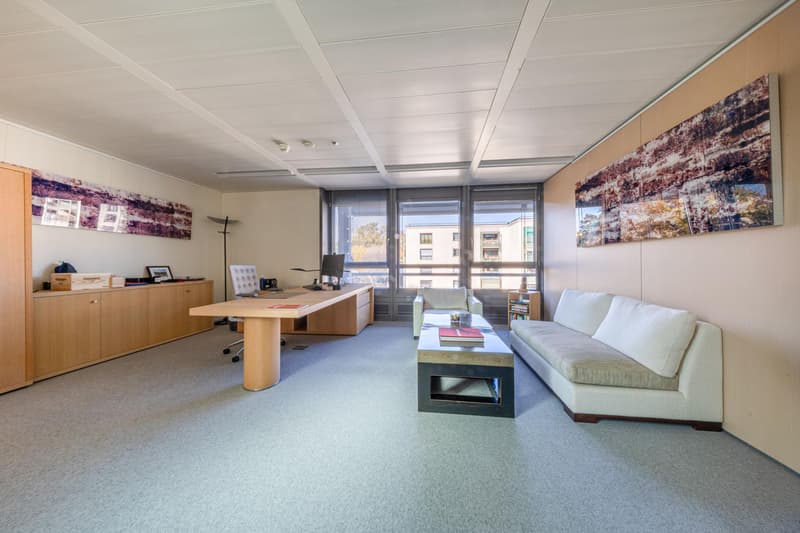 Bureaux 835 m2 (6)
