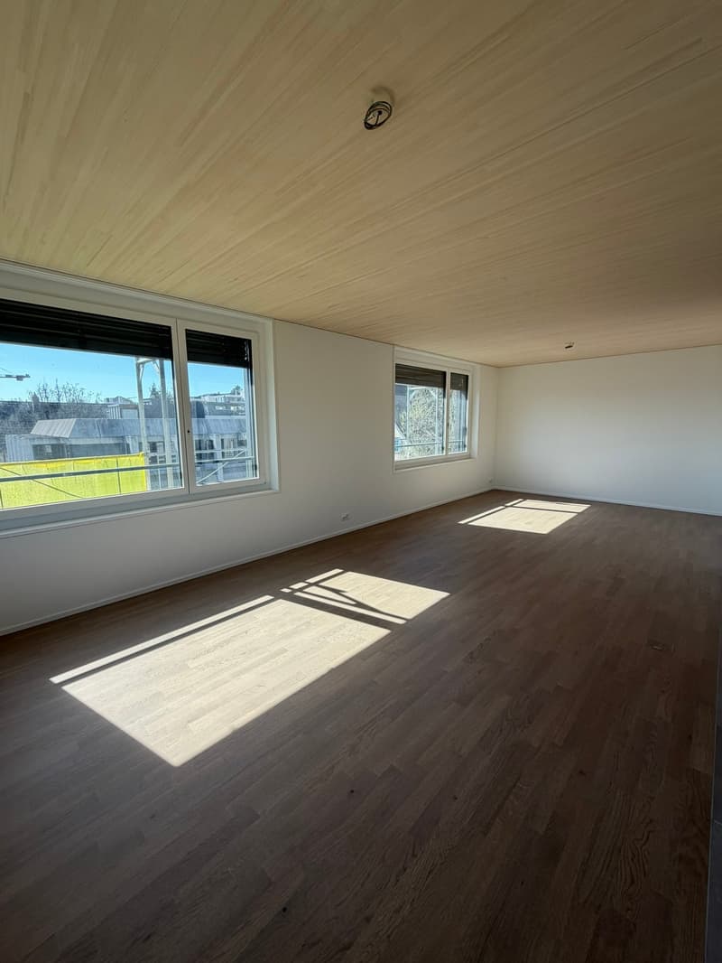 Freshly renovated apartment in a central location in Thalwil with lake view (3)