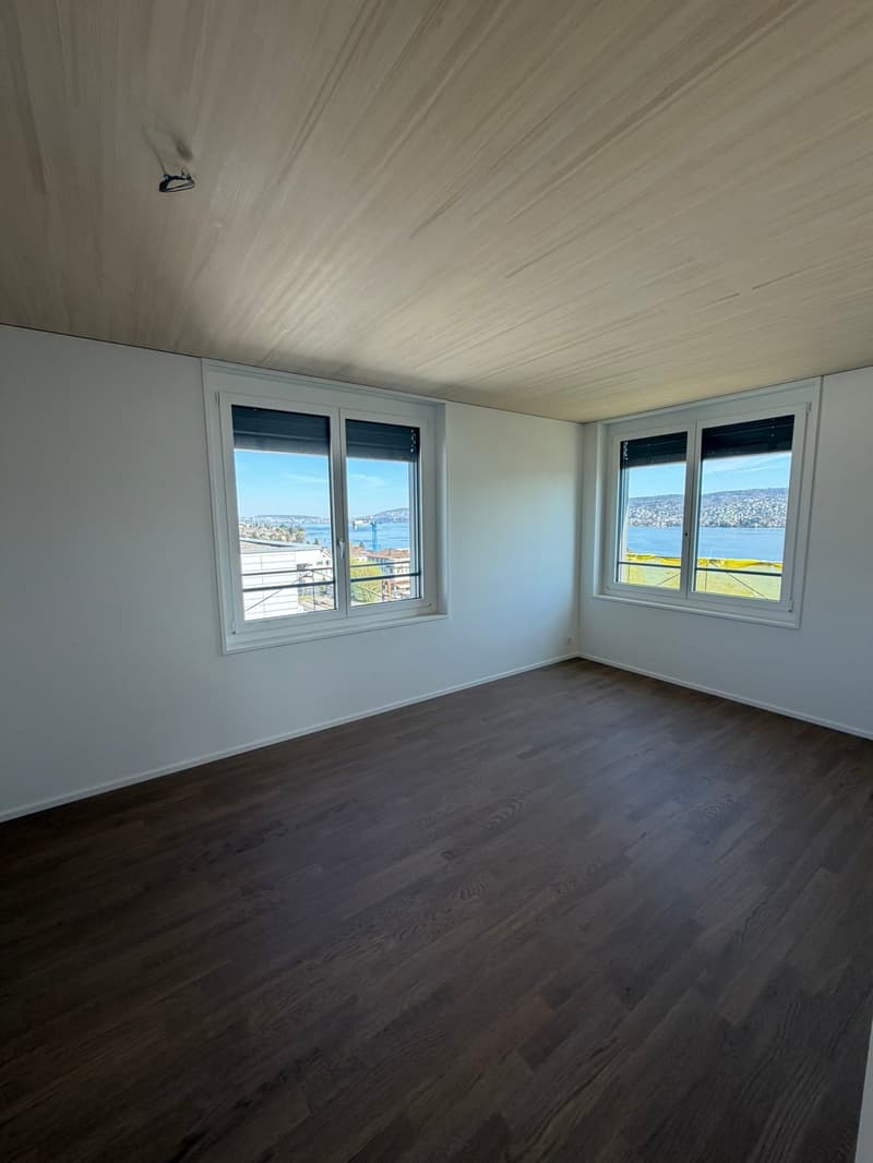 Freshly renovated apartment in a central location in Thalwil with lake view (7)