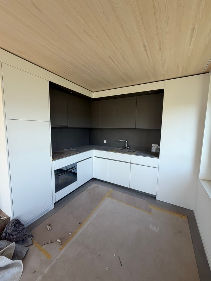 Freshly renovated apartment in a central location in Thalwil with lake view (1)