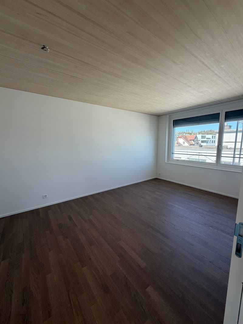 Freshly renovated apartment in a central location in Thalwil with lake view (8)