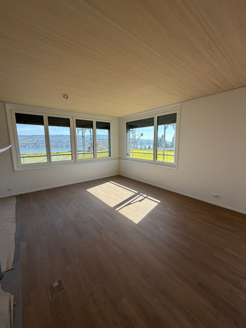 Freshly renovated apartment in a central location in Thalwil with lake view (2)