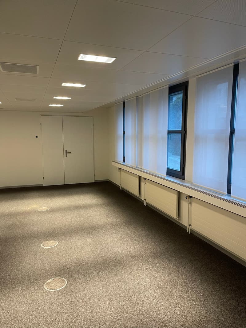 zentrale und grosszügige Gewerbefläche am Zürichsee (4)