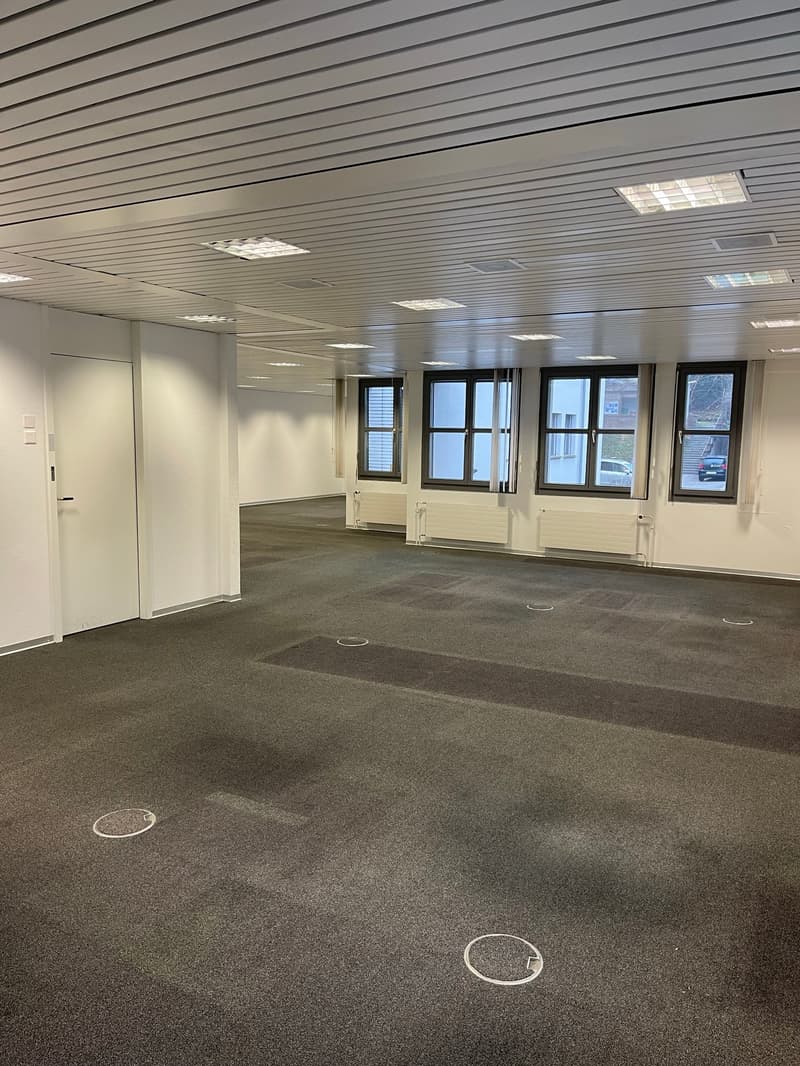 zentrale und grosszügige Gewerbefläche am Zürichsee (2)