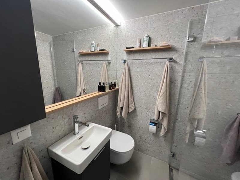 Exklusive 2.5 Zimmer-Wohnung im Seefeld mit Gartensitzplatz (7)