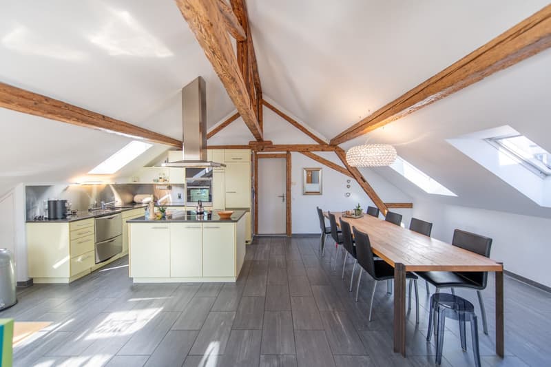 Duplexwohnung im Altbaustil mit Traumterrasse & Ausbaupotenzial (1)