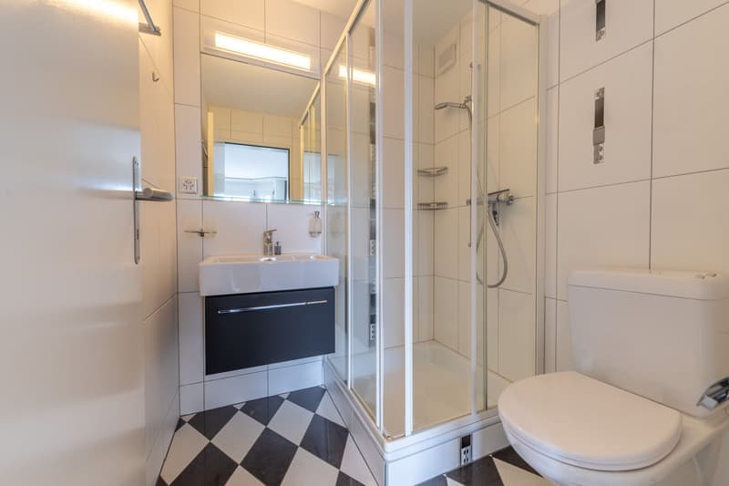 Attraktive Hochparterre-Wohnung mit Cheminée und viel Stauraum (8)