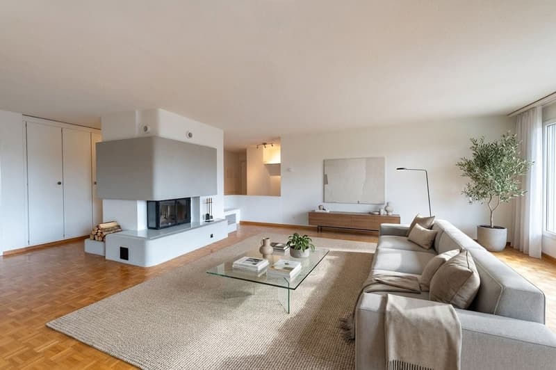 Attraktive Hochparterre-Wohnung mit Cheminée und viel Stauraum (1)