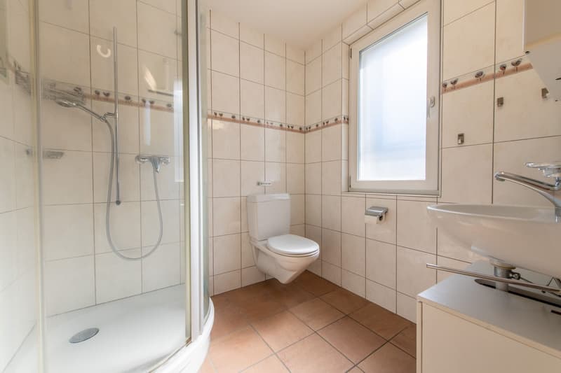 Ein Zuhause zum Wohlfühlen - helles Wohnambiente, Cheminée und sonnige Terrasse (8)