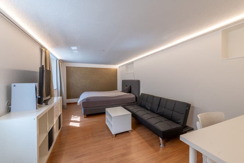Modernes Haus mit flexiblem Raumangebot und Einliegerwohnung möglich (10)