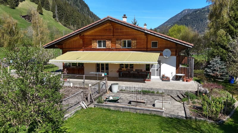 Raum, Ruhe und Natur pur - Grosszügiges Wohnglück mit Alpenpanorama (1)
