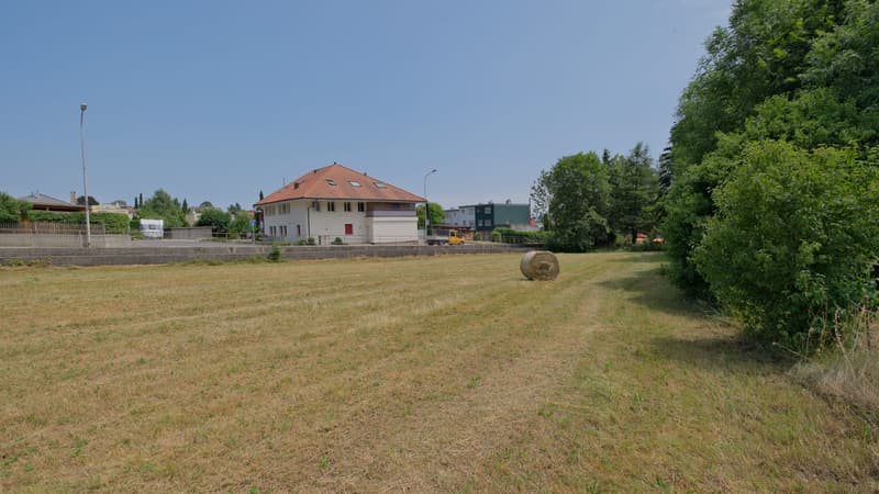 1'691 m² Landparzelle in Langendorf (4)