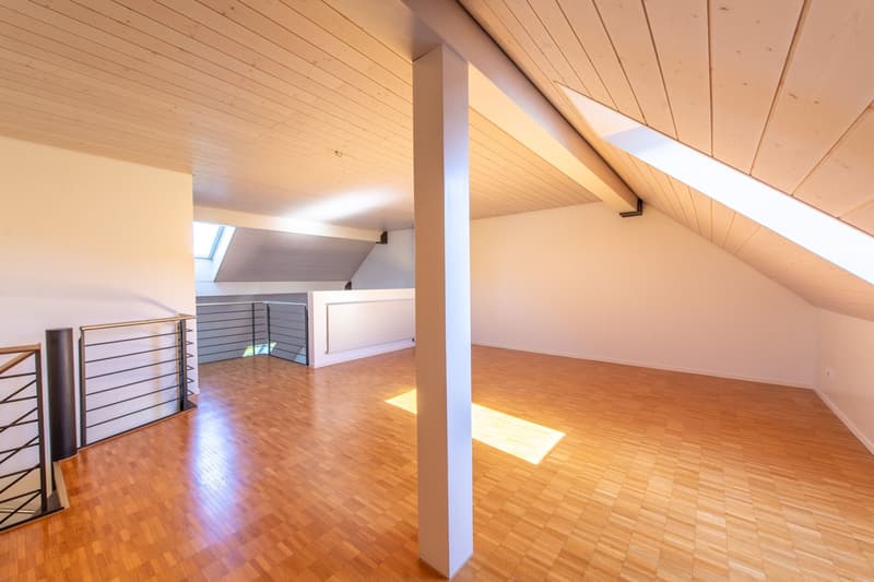 Duplex-Highlight mit Waschturm, Réduit & Cheminée (9)