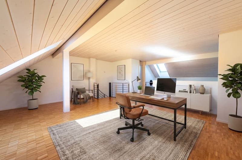 Duplex-Highlight mit Waschturm, Réduit & Cheminée (8)