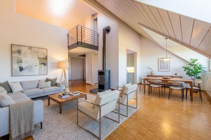 Duplex-Highlight mit Waschturm, Réduit & Cheminée (2)