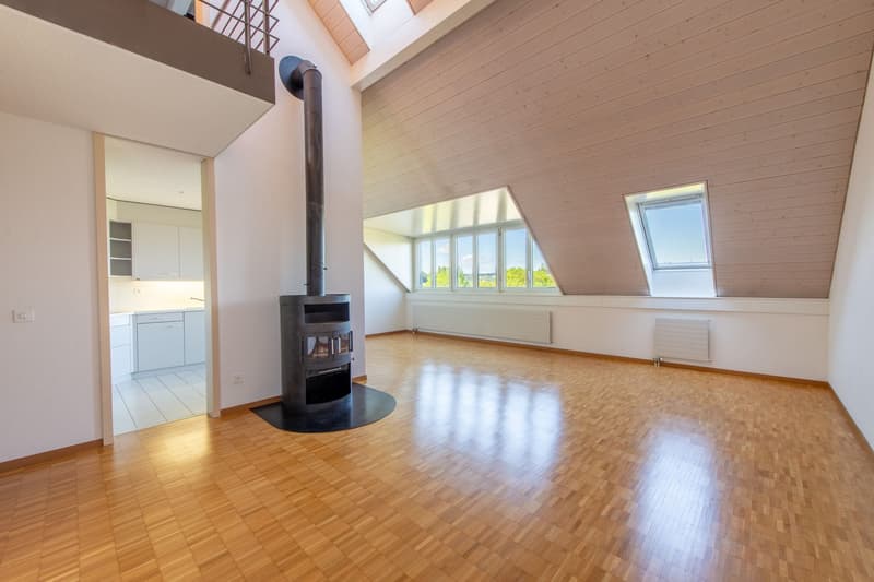 Duplex-Highlight mit Waschturm, Réduit & Cheminée (3)