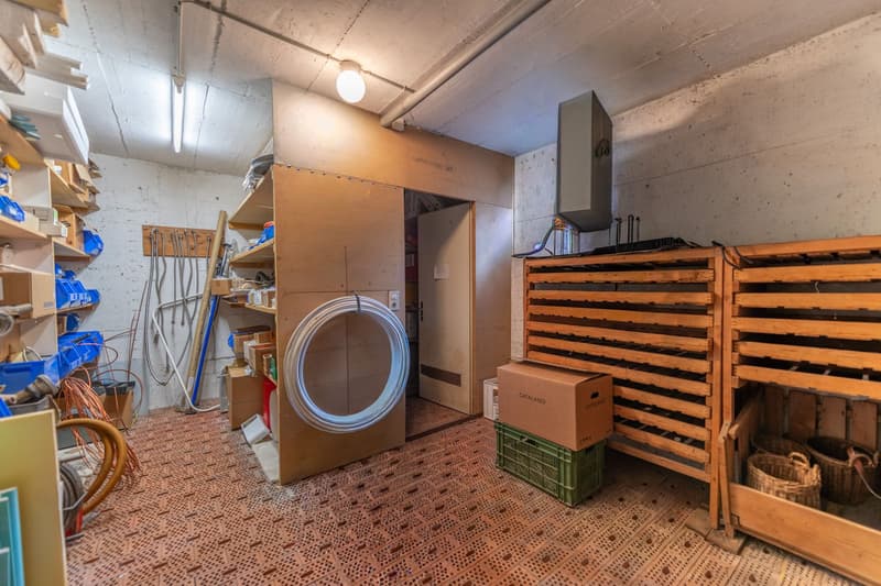 Werkstatt, Lager oder Showroom - Individuell nutzbare Gewerbefläche (6)