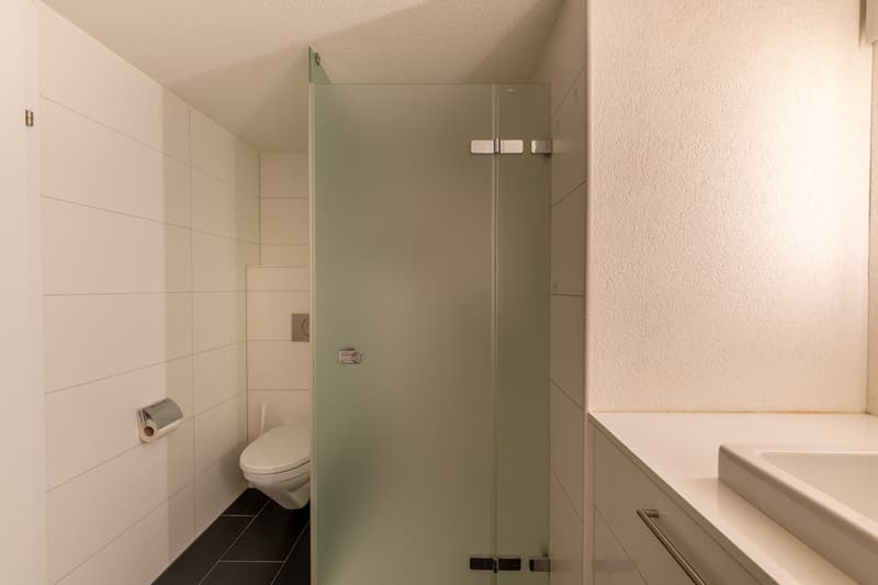 Modernes Haus mit flexiblem Raumangebot und Einliegerwohnung möglich (12)
