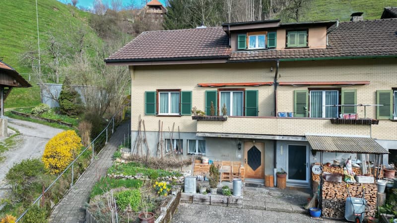 Sanieren, gestalten, wohlfühlen - Ihr neues Zuhause in Langnau (1)