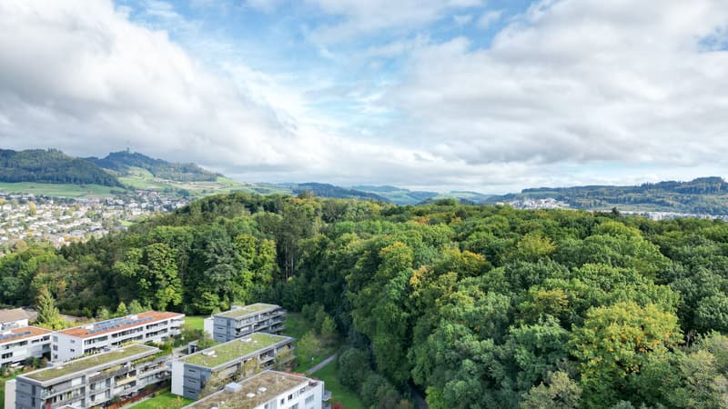 206 m² exklusive Büroräumlichkeiten an zentraler Lage (5)
