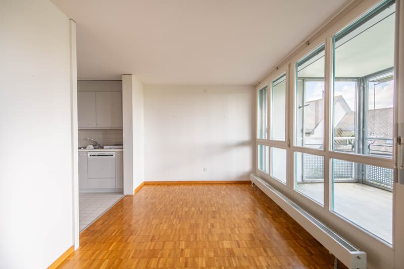 Grosszügig, im Grünen und mit eigener Waschküche & grossem Balkon! (6)