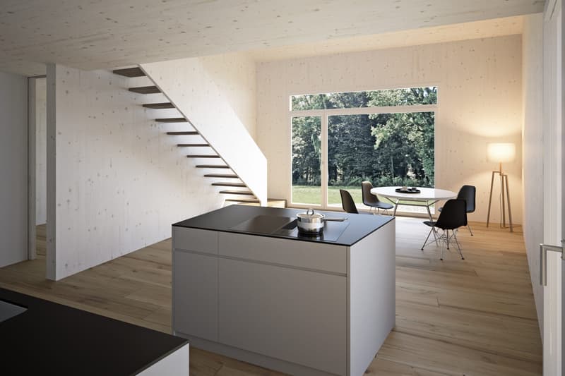 Wohnen mit Freiraum - moderne Doppelhaushälfte im Atelierhaus-Stil (1)