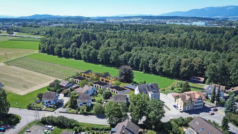 Moderne Architektur trifft ländliches Wohnen (2)