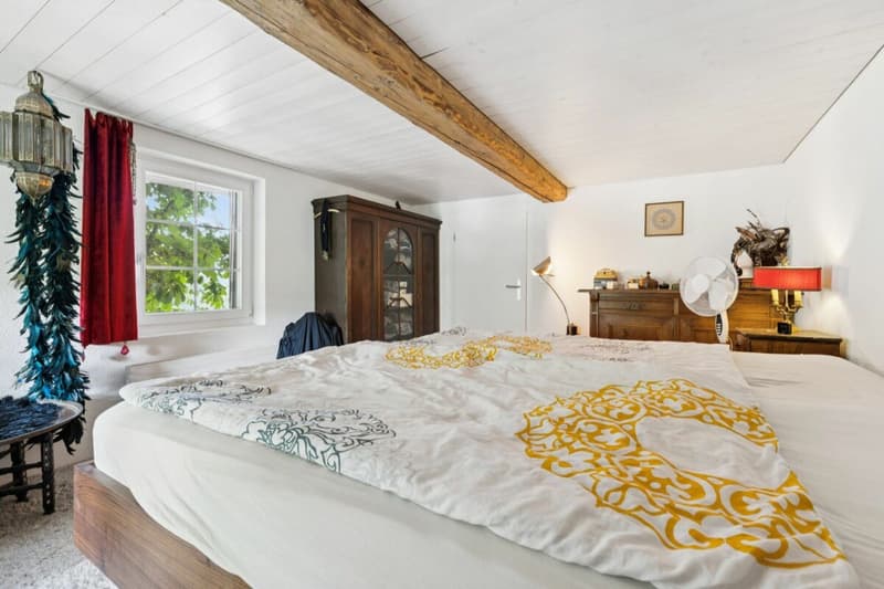 Einfamilienhaus auf dem Lande (9)