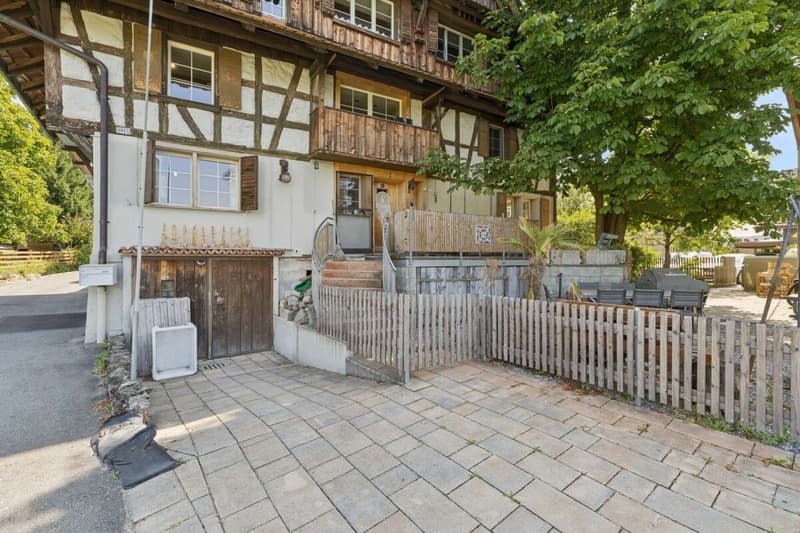 Einfamilienhaus auf dem Lande (3)