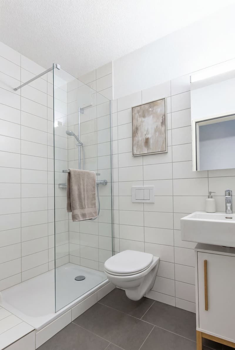 Exklusive 5.5-Zimmer Attikawohnung in Magden 2.2 (4)