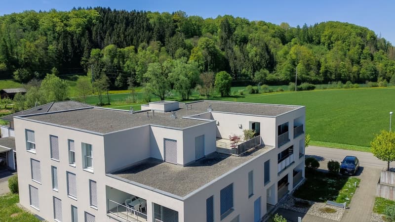 Exklusive 5.5-Zimmer Attikawohnung in Magden 2.1 (14)