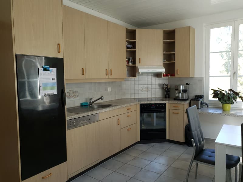 Grosszügig wohnen mit Sonnenterrasse - 2.5 Zimmer auf 88 m² (3)