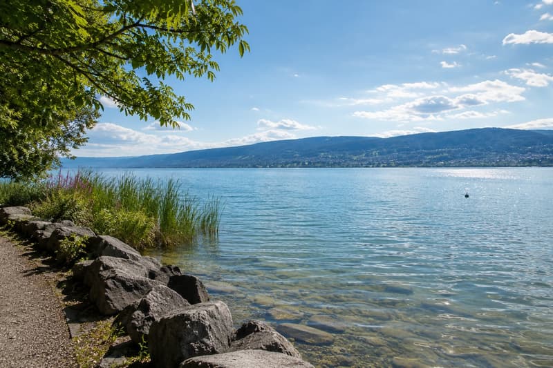 Exklusive Lage nahe dem Zürichsee: Sonnige Naturwege, ruhige Erholungsgebiete und traumhafte Seelandschaften nur wenige Minuten von der Villa entfernt. Die perfekte Verbindung aus Privatsphäre, Natur und luxuriösem Wohnen in Küsnach